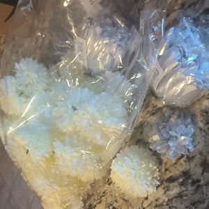 Mums...small and 6.5in